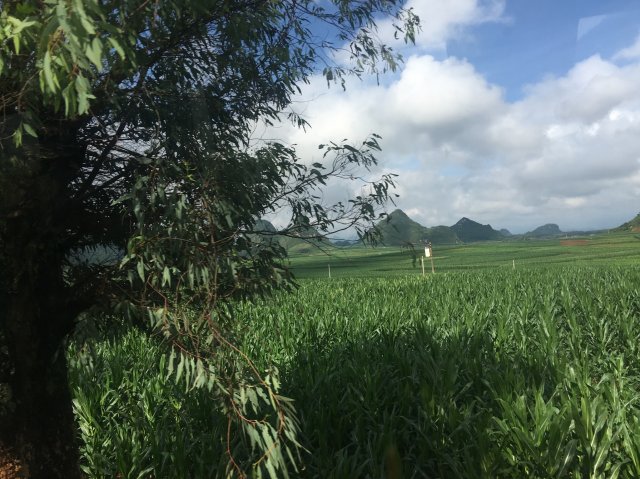 2017雲彩之旅