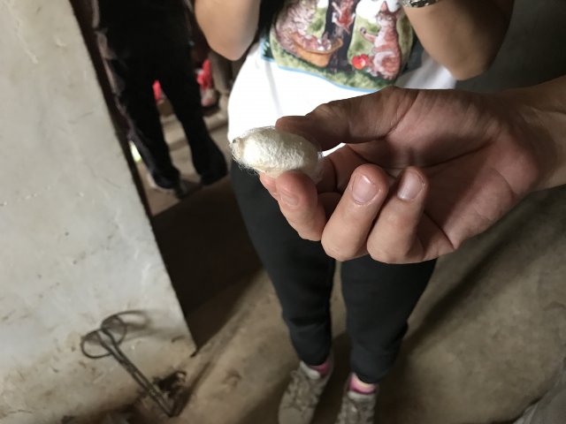 2017雲彩之旅
