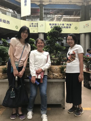2017雲彩之旅
