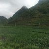2017雲彩之旅