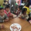 2017雲彩之旅