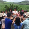 2017雲彩之旅