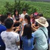 2017雲彩之旅