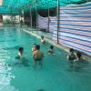 2017雲彩之旅