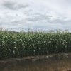 2017雲彩之旅