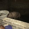 2017雲彩之旅
